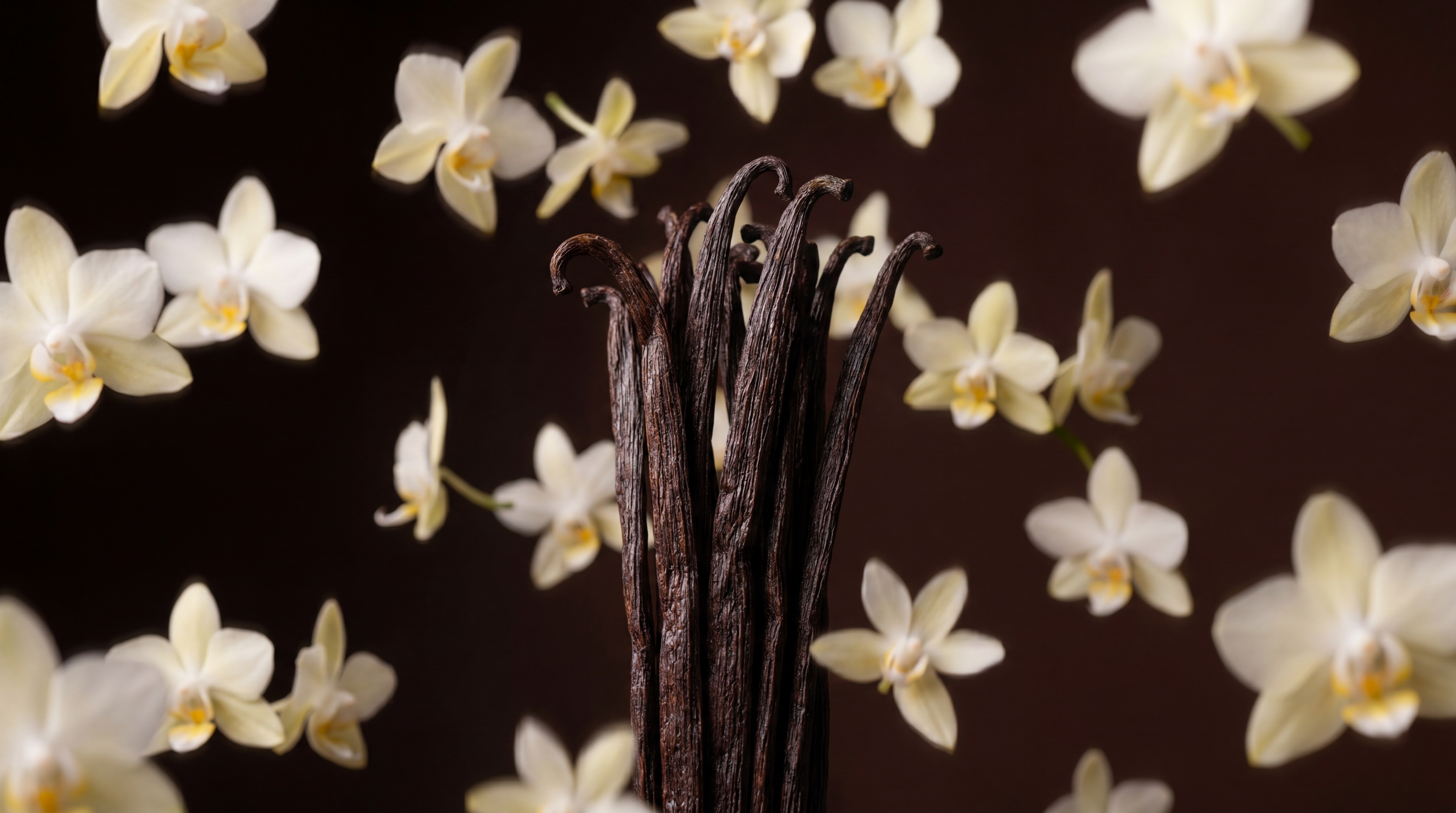 Responsible Vanilla, Positive Impact
