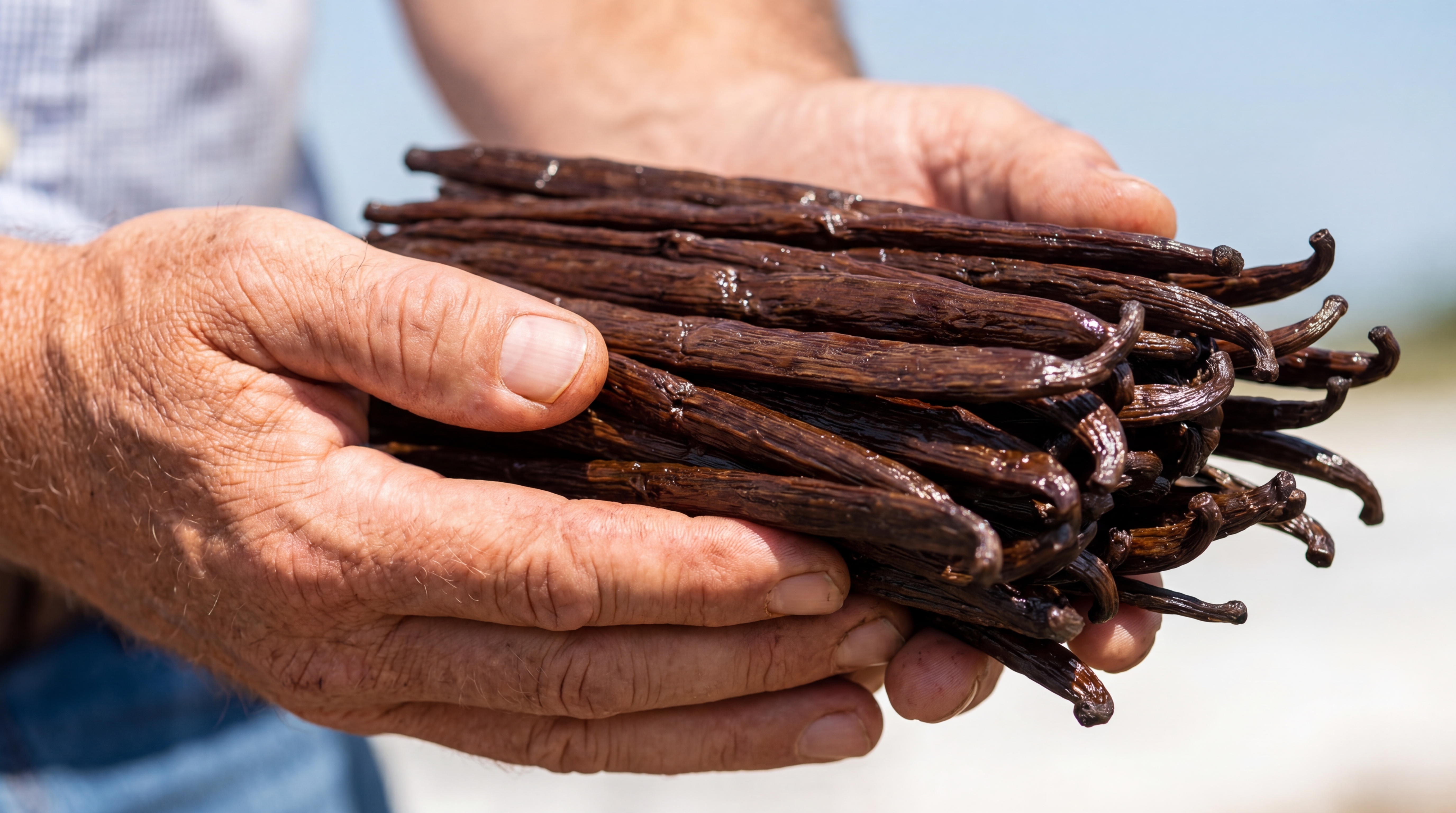 Responsible Vanilla and Its Long Term Impact